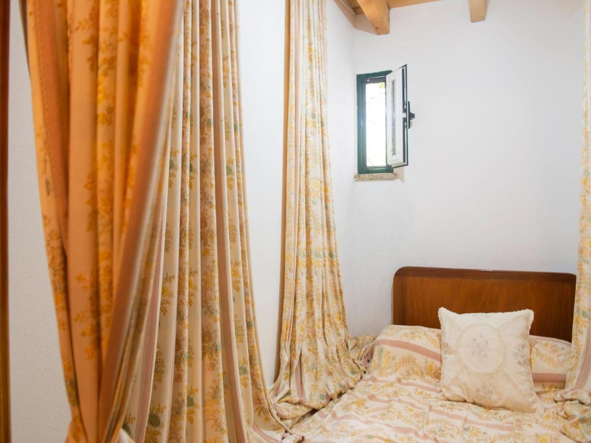 Villa House with authentic tiling&antique furniture à Montemor-o-Novo Extérieur photo